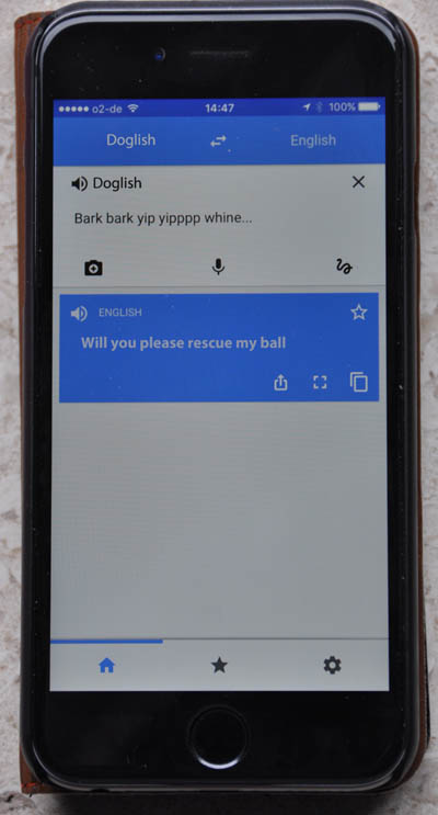 Google Translate for dogs